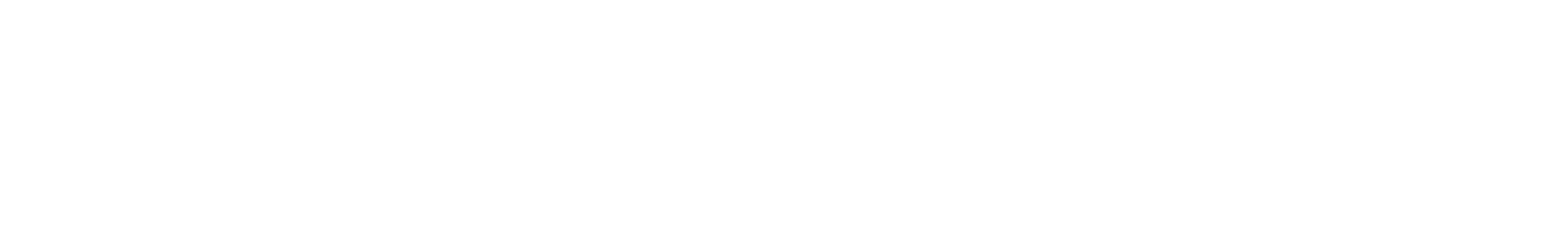 BGX Group